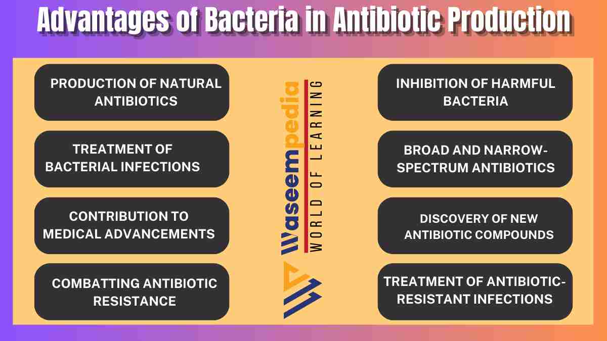 image showing Advantages of Bacteria in Antibiotic Production