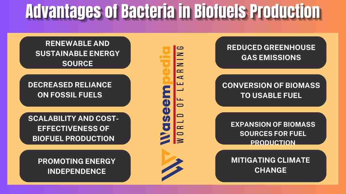 Image showing Advantages of Bacteria in Bio fuels Production