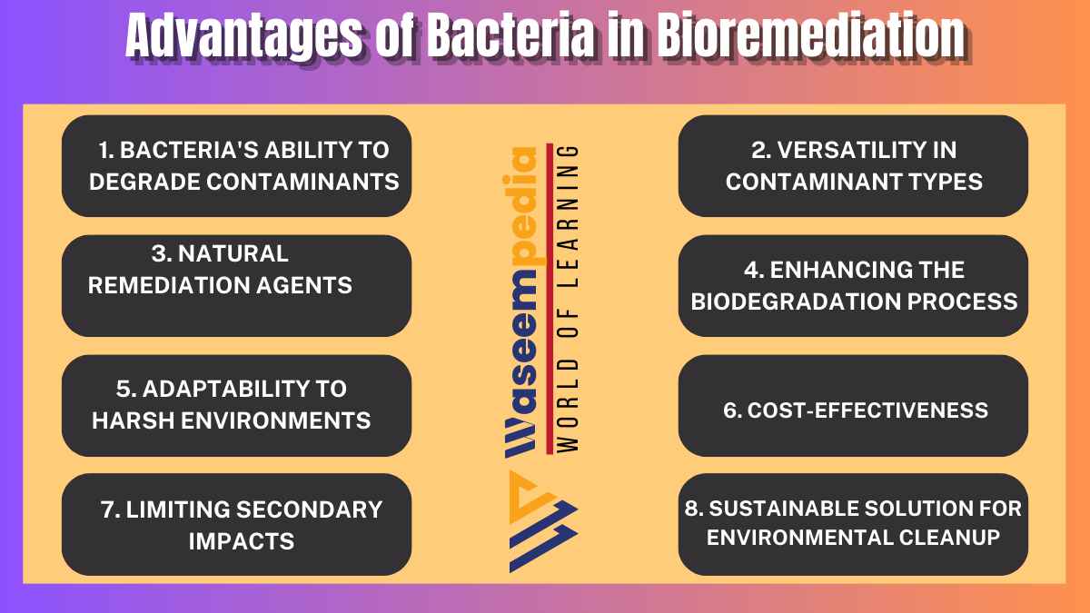 Image Showing Advantages of Bacteria in Bioremediation