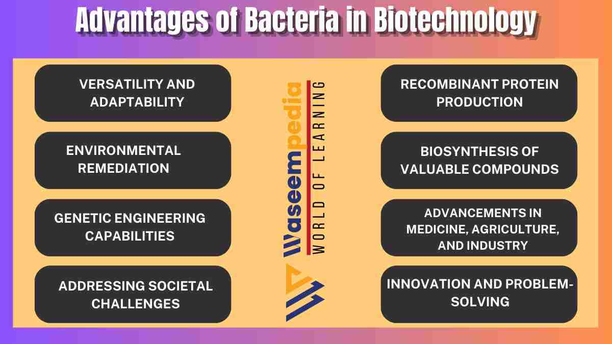 image showing Advantages of Bacteria in Biotechnology