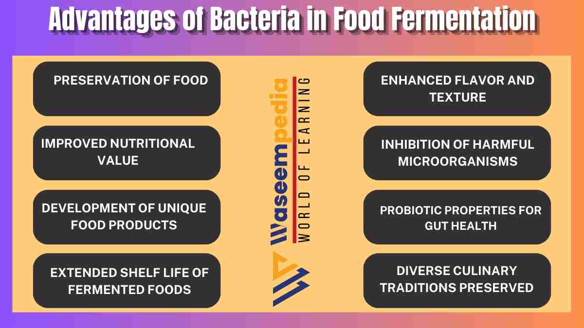 Image showing Advantages of Bacteria in Food Fermentation