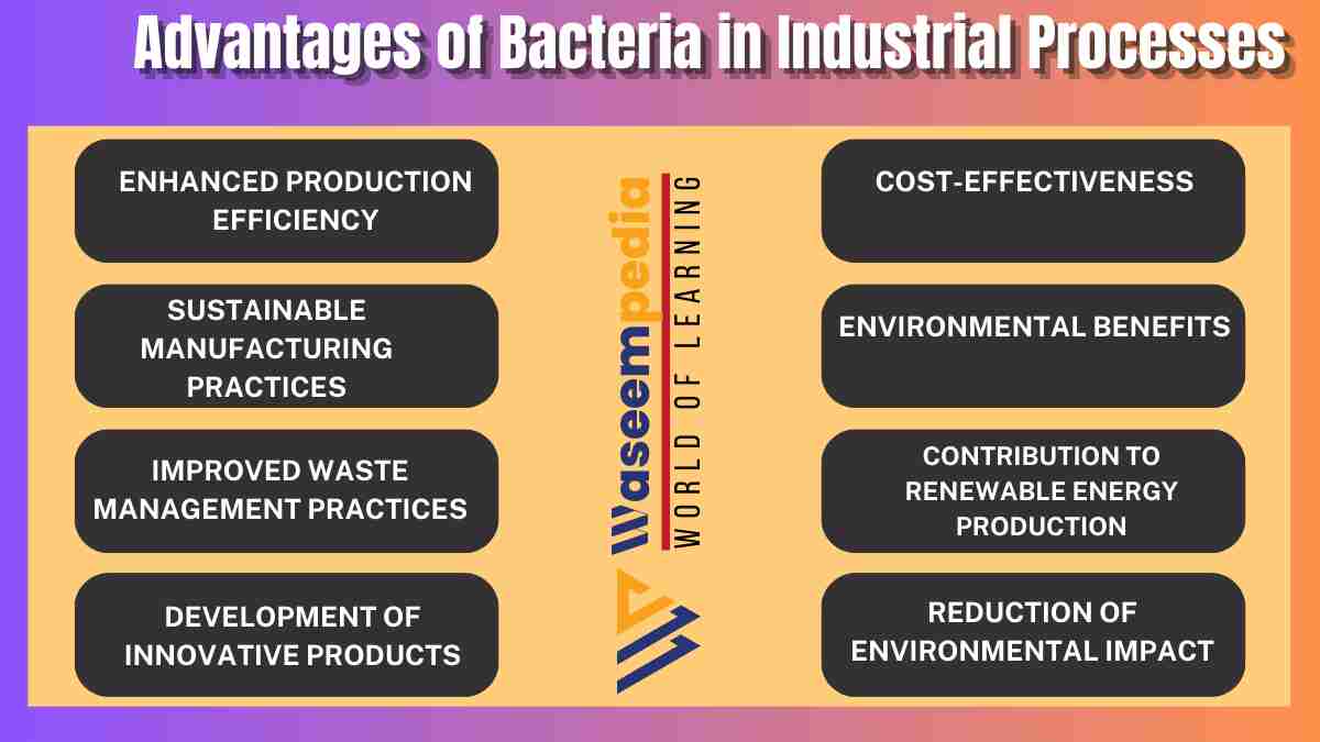 Image showing Advantages of Bacteria in Industrial Processes