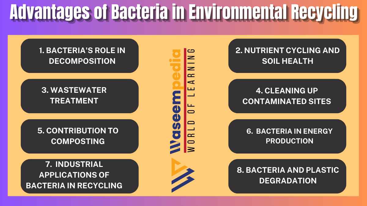 image of Advantages of Bacteria in Environmental Recycling