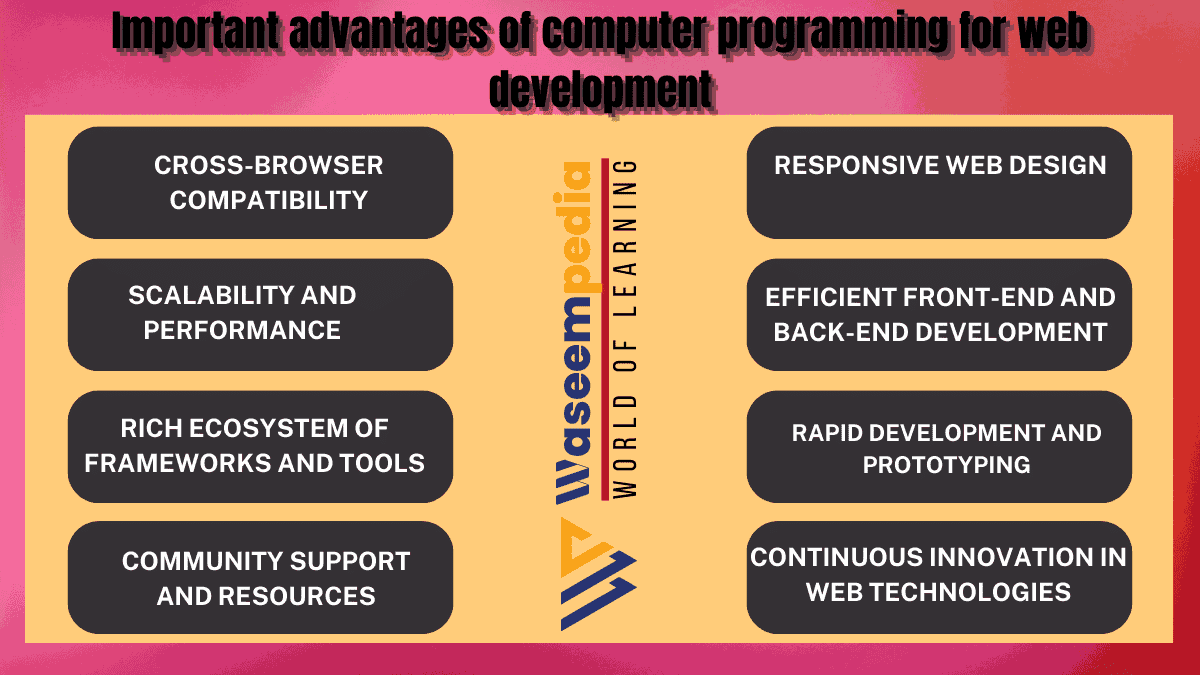 Image Showing Advantages of Computer Programming in Web Development