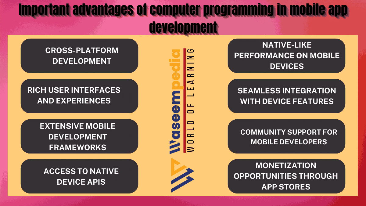 Image Showing Important Advantages of Computer Programming in Mobile App Development